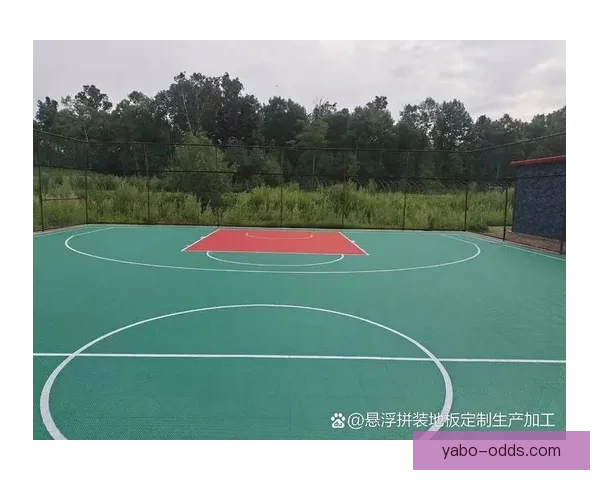 回响计划助力基层体育建设建成42座篮球场捐赠超一万八千件器材